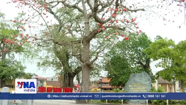 Dấu ấn lịch sử và nghệ thuật đặc sắc của bia đá thời Lê Trung Hưng