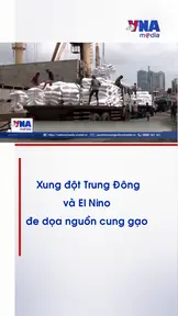 Xung đột Trung Đông và El Nino đe dọa nguồn cung gạo
