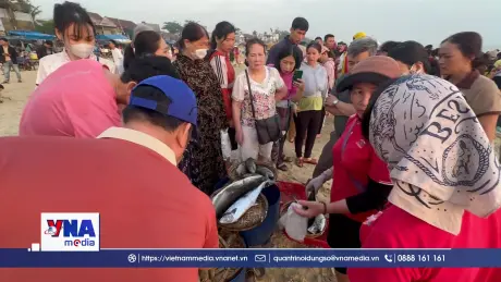 Nhịp sống ngày mới ở chợ cá Tam Tiến