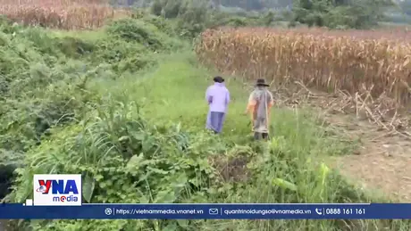 Phát hiện thi thể nghi là đối tượng liên quan vụ án giết người