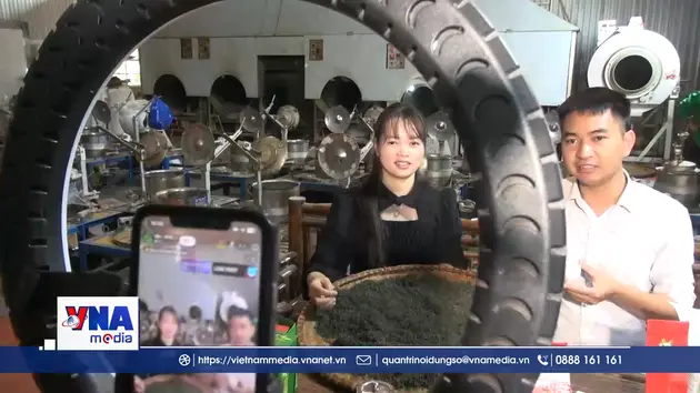 Hướng tới mở rộng hỗ trợ hộ kinh doanh, hợp tác xã chuyển đổi số