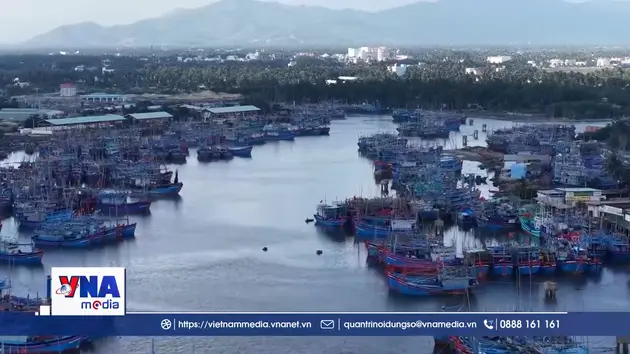 Gia Lai phủ sóng nhật ký khai thác thủy sản điện tử