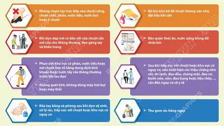 Bộ Y tế khuyến cáo phòng bệnh do virus Hanta