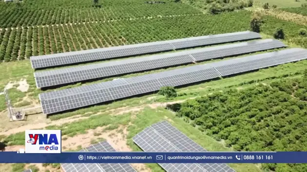 Net zero - Hoàn thiện khung pháp luật năng lượng tái tạo