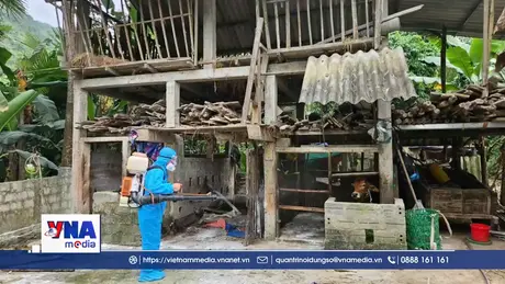 Quảng Trị: Khẩn trương triển khai các biện pháp khống chế dịch viêm da nổi cục