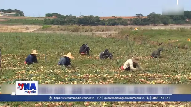 Hàn Quốc miễn bảo hiểm chăm sóc dài hạn cho lao động E-8