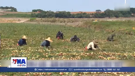 Hàn Quốc miễn bảo hiểm chăm sóc dài hạn cho lao động E-8