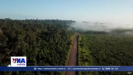 Brazil tái khẳng định mục tiêu “không phá rừng” vào năm 2030