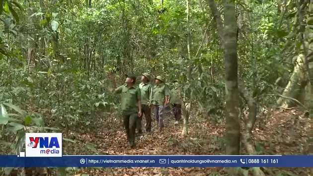 Nỗ lực giữ màu xanh rừng Mã Đà