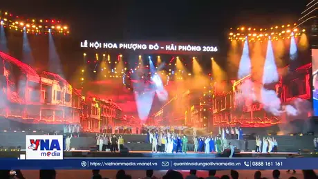 Khai mạc Lễ hội Hoa Phượng Đỏ 2026