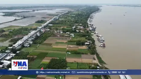 Đồng Tháp: 3 xã nằm giữa sông Tiền được công nhận là xã đảo