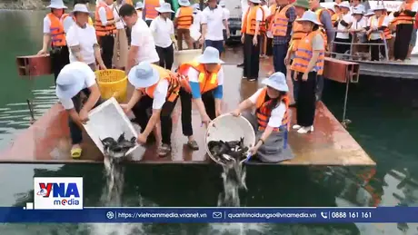 Tái tạo nguồn lợi thủy sản lòng hồ Hòa Bình