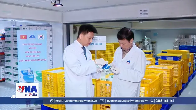 1,1 triệu liều vaccine thú y Việt Nam lần đầu xuất khẩu sang Hàn Quốc