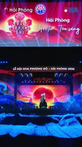 Rực rỡ, sôi động, không thể bỏ lỡ: Lễ hội Hoa Phượng Đỏ 2026