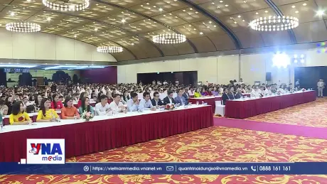 Trao giải Violympic 2025 - 2026
