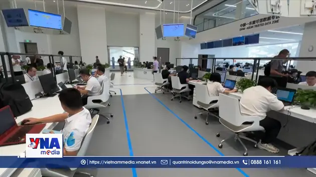 Thâm Quyến tăng tốc thu hút nhân tài, định hình hệ sinh thái đổi mới