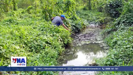 Quảng Trị: Xử phạt chủ trang trại lợn xả thải vượt ngưỡng ra môi trường