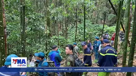 Dốc toàn lực tìm người mất tích giữa rừng sâu