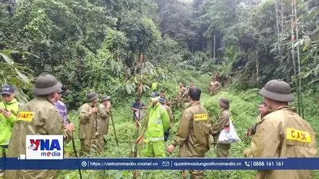 Trạm tin tối ngày 10/5/2026: Dốc toàn lực tìm người mất tích giữa rừng sâu