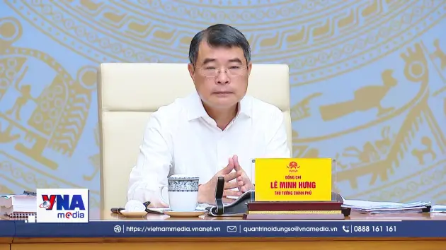 Tạo chuyển biến thực chất trong phát triển khoa học công nghệ, đổi mới sáng tạo và chuyển đổi số