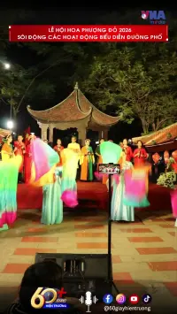 Lễ hội Hoa phượng đỏ: Sôi động các chương trình đường phố