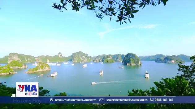 Sẵn sàng cho mùa du lịch hè 2026
