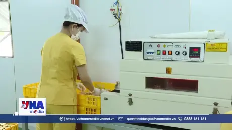 Quảng Trị thúc đẩy phát triển sản phẩm OCOP địa phương