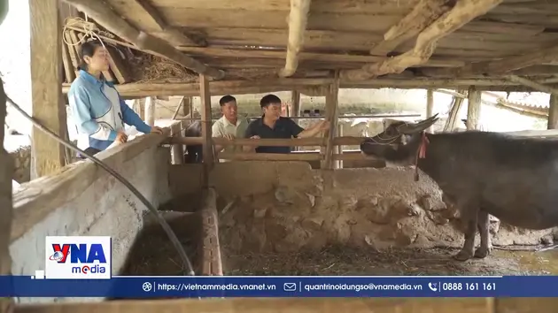 Khơi dòng vốn hỗ trợ đến tay nông dân