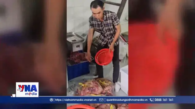 Trạm tin sáng ngày 12/5: Triệt phá vụ chế biến hơn 15 tấn thịt bò giả từ thịt heo nái