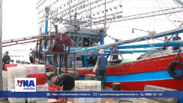 Ngư dân Quảng Trị nỗ lực vươn khơi trước khó khăn “kép”