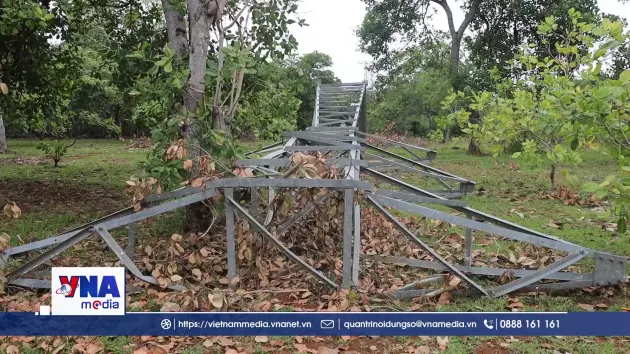 Gần 60 trụ điện bỏ không nhiều năm, người dân sống trong bất an
