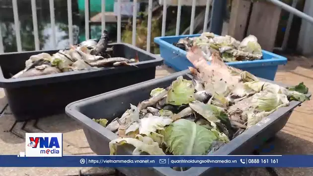 Xử lý tình trạng cá chết tại lòng hồ thủy lợi Phước Hòa