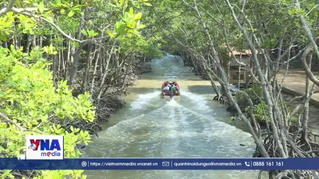 TP.HCM tăng cường quản lý các vùng đất ngập nước