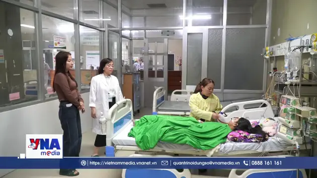 Cà Mau: Cứu kịp thời bệnh nhi bị ong vò vẽ đốt hơn 70 vết