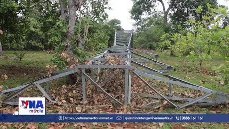 Gần 60 trụ điện bỏ không nhiều năm, người dân sống trong bất an
