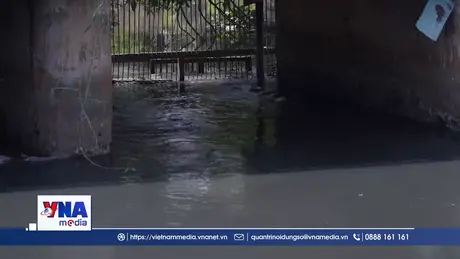 Sông Vàm Cỏ Đông bị ô nhiễm nghiêm trọng