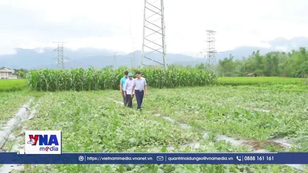 Lào Cai thúc đẩy phát triển nông nghiệp theo hướng hiện đại