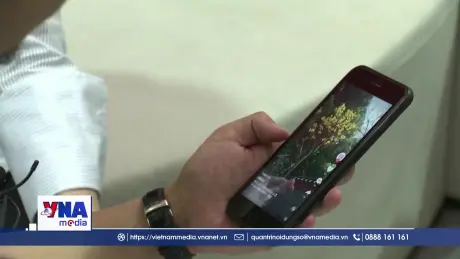 Trung Quốc chuẩn hóa nội dung đối với video ngắn