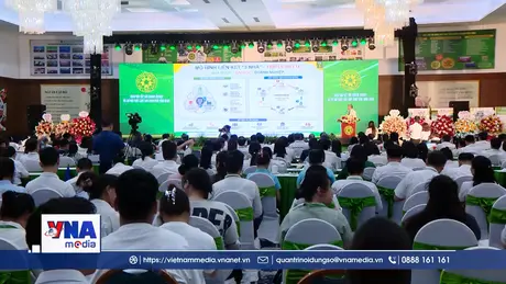Đào tạo cần gắn với thực tiễn thị trường lao động
