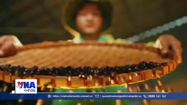 Thúc đẩy xuất khẩu nông sản bền vững trước các rào cản kỹ thuật