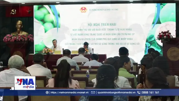 Bưởi, chanh tươi trước cơ hội bứt phá tại thị trường Trung Quốc