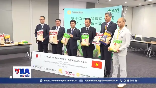 Hạt gạo Việt trên hành trình chinh phục thị trường Nhật Bản