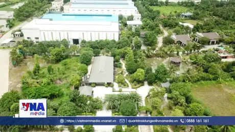 Việt Nam xác định rõ trọng tâm cho mục tiêu Net Zero
