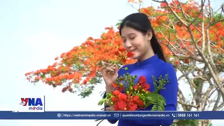 Đường hoa phượng bên bờ kênh xáng ở Đồng Tháp