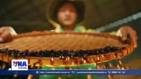 Thúc đẩy xuất khẩu nông sản bền vững trước các rào cản kỹ thuật