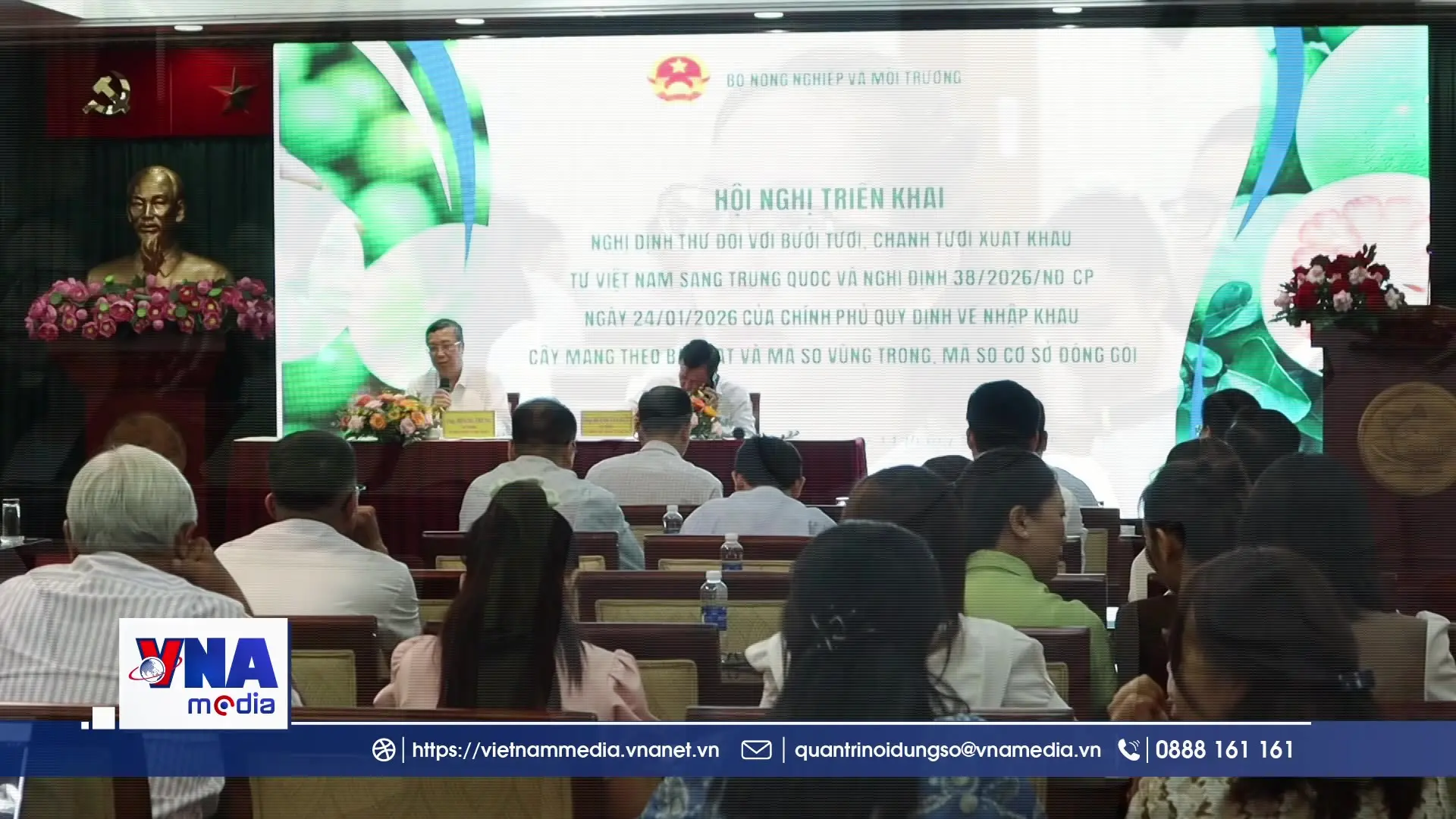Bưởi, chanh tươi trước cơ hội bứt phá tại thị trường Trung Quốc