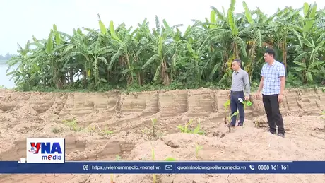 Cần xử lý nghiêm đối tượng lấy trộm hàng trăm mét khối đất tại Hưng Yên