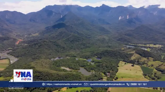 Bước tiến đáng kể trong nỗ lực bảo vệ hệ sinh thái của Brazil