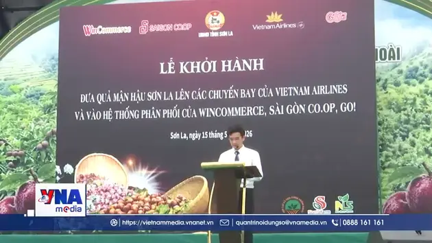 Đưa mận hậu Sơn La lên các chuyến bay và hệ thống bán lẻ