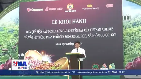 Đưa mận hậu Sơn La lên các chuyến bay và hệ thống bán lẻ